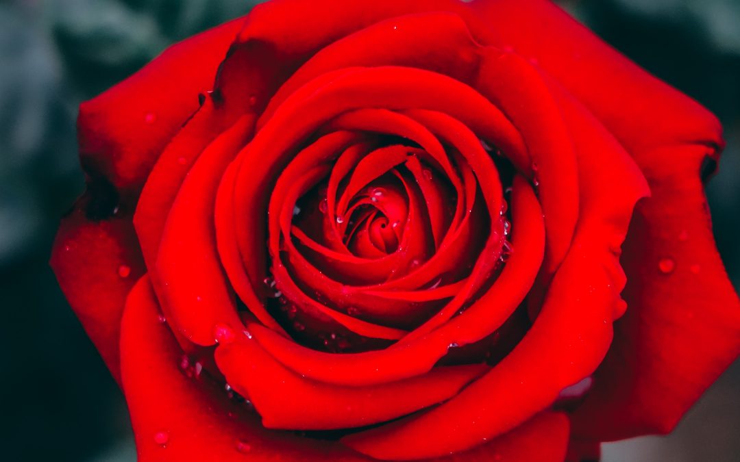 Valentine’s Day 2022