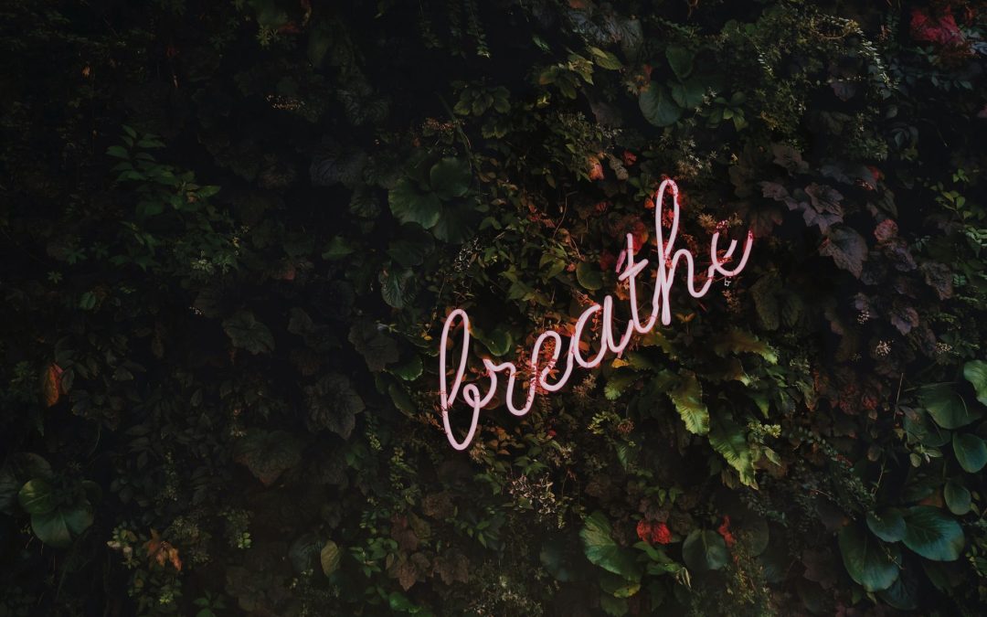 Wellbeing